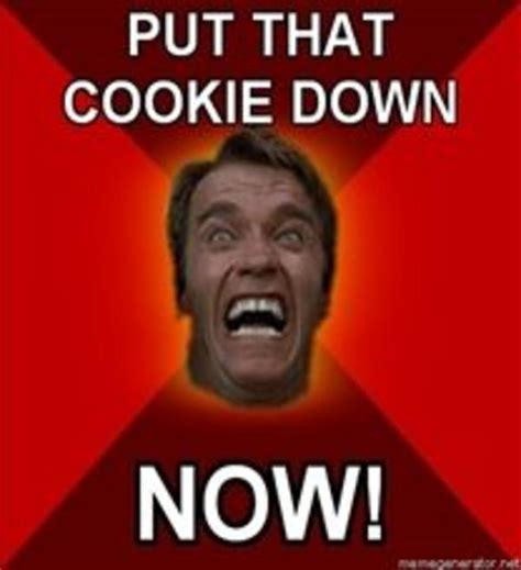 [Image - 37801] | Put That Cookie Down | Know Your Meme