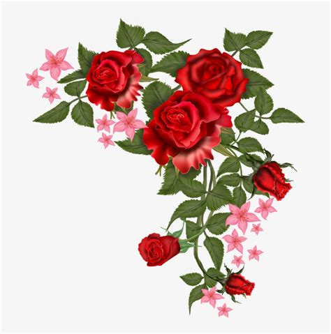 Download Flowers Vectors Free Png Transparent Image - Red Flower Vector ...