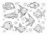 Premium Vector  Printable Fish Outline coloring Pages Ausmalbilder sketch template