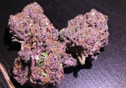 Purple Urkle Weed Strain Information | Leafbuyer