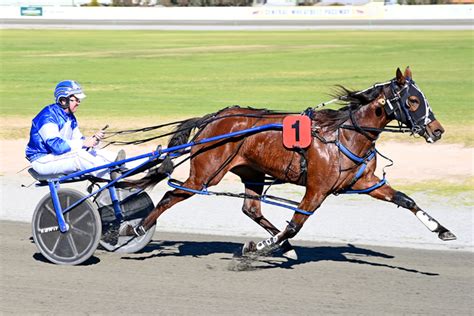 Home - Australian Harness Racing