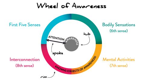 The Wheel of Awareness