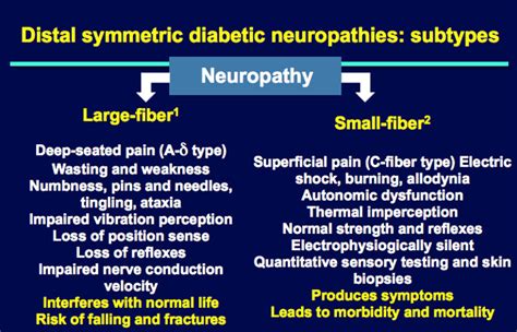 What Is Sensory Motor Neuropathy | Webmotor.org