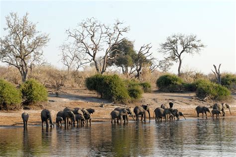 Botswana Travel Guide • The Art of Travel: Wander, Explore, Discover ...