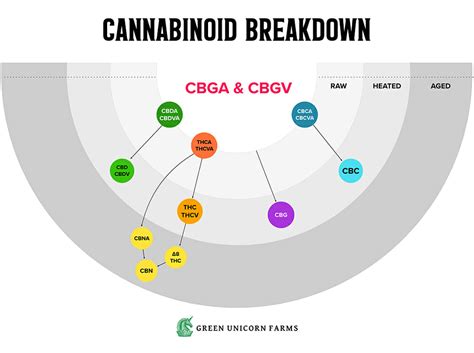 What is THCA and How is it Different from CBD?