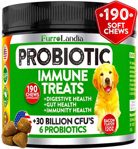 4 All Natural Probiotics for Dogs we Love - The Pets Digest