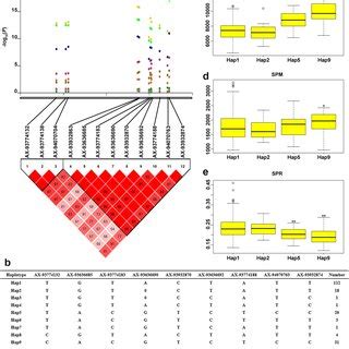 Haplotype analysis of twelve SNPs significantly associated with SP and... | Download Scientific ...