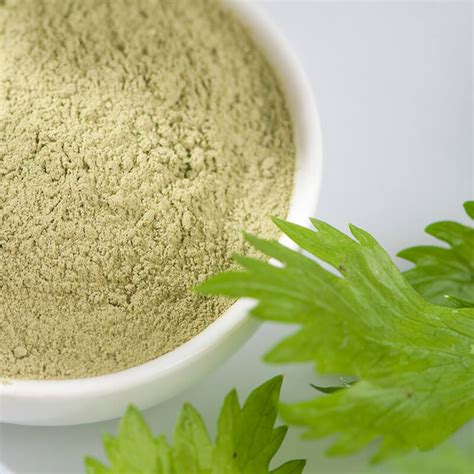 Celery Powder – herbtrue