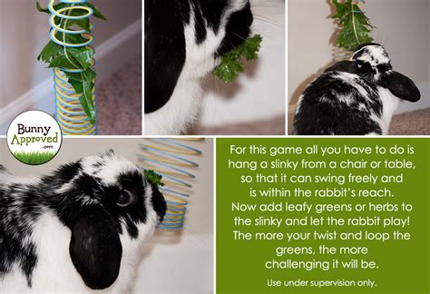 DIY Rabbit Toy Ideas - Bunny Approved - House Rabbit Toys, Snacks, and ...