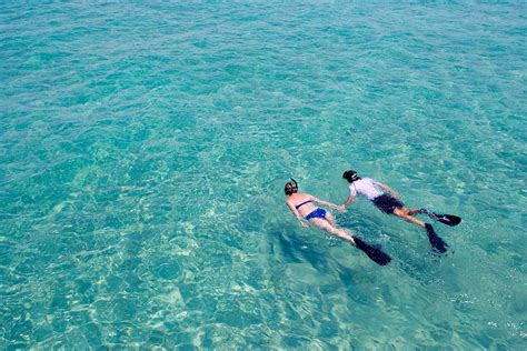 The Experience Of Snorkeling Mozambique's Reefs | Art Of Safari