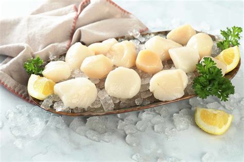 Fresh Large Dry Sea Scallops (10-20) - Pine Tree Seafood