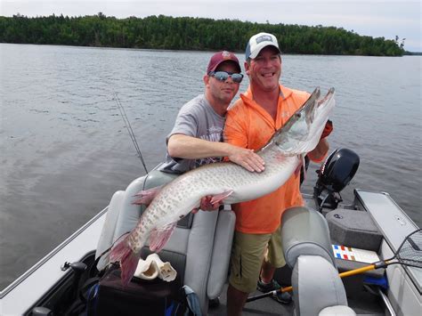 Lake of the Woods fishing report 6/21/16 | OutdoorsFIRST