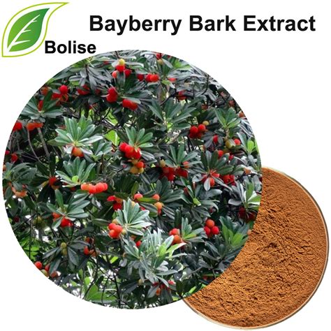 Bayberry Bark Extract Suppliers,Manufacturers from Bolise