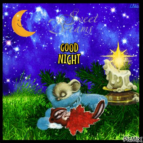 Sleeping Mouse Good Night Animated Image Pictures, Photos, and Images ...