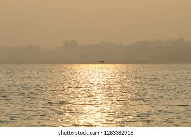 49 Ameenpur Lake Images, Stock Photos & Vectors | Shutterstock