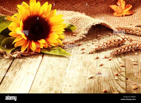 Rustic Background