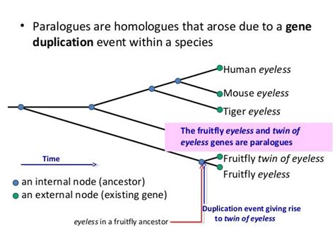 Homology