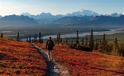 Denali Wilderness Hike - Alaska Nature Guides