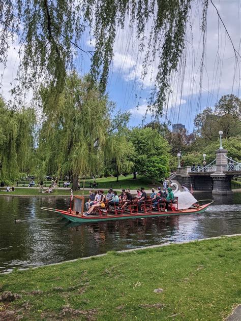 Boston-Public-Garden-Swan-Boat – Roaming Boston