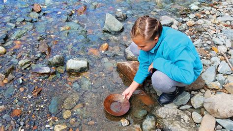 Historic Gold Mining & Panning Adventure – Alaska Travel Adventures