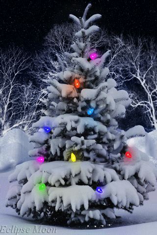 Christmas Tree Decoration With Snow