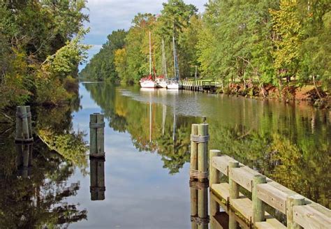 Dismal Swamp Canal State Park - North Carolina