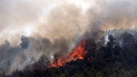 Turkey fires map: Where wildfires have wreaked destruction as Marmaris ...