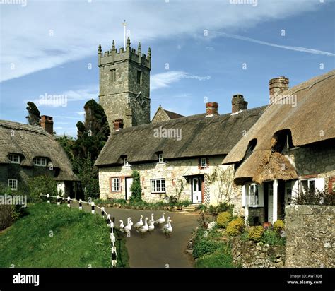 GB - ISLE OF WIGHT: Godshill village Stock Photo: 3100631 - Alamy