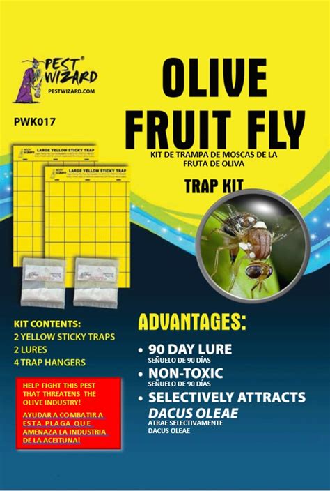 Olive Fruit Fly