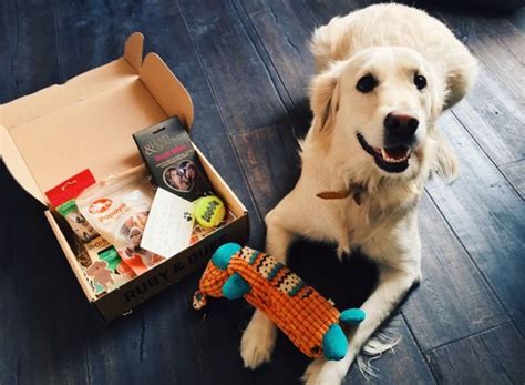 Subscription boxes: A healthy surprise for your dog - Feel The Animal