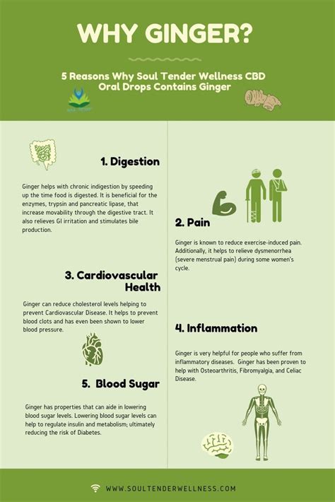 Why Ginger? | Medicinal plants, Ginger benefits, Wellness