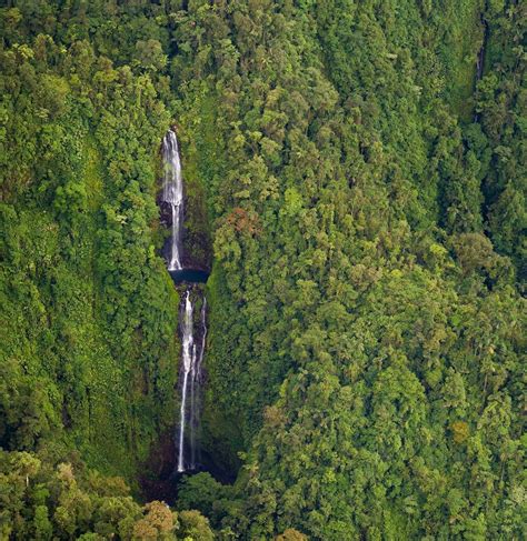 La Danta Salvaje Reserve | Costa Rica Nature Conservation