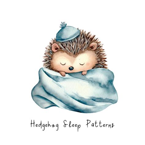 Why Is My Hedgehog Sleeping So Much?