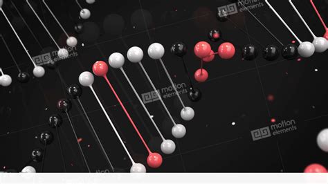 Gloss Model Of Black, White And Red DNA Strand On Black Background Stock Animation | 11582500