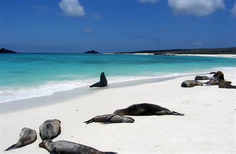 Galapagos Islands Luxury Tour | Luxury Travel Ecuador | Blue Parallel