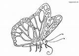 40  Ausmalbild Schmetterlinge Zum Ausdrucken Bunt sketch template