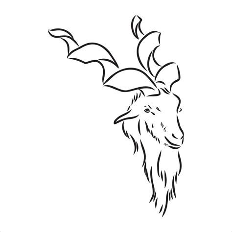 mountain goat vector sketch 7309142 Vector Art at Vecteezy