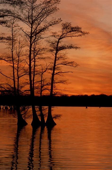 Reelfoot Lake State Park - The Vacation Gals