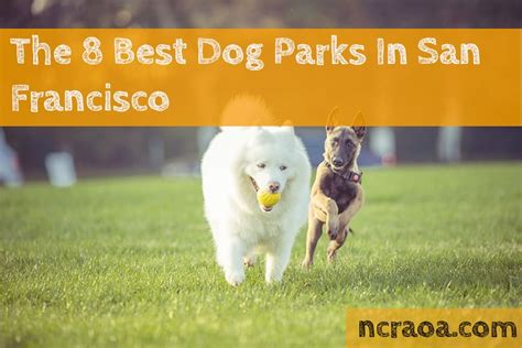 The 8 Best Dog Parks In San Francisco [2021 Update] | National Canine ...