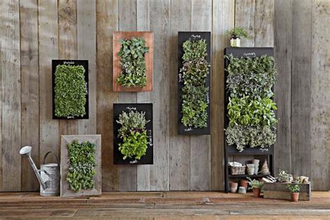 Vertical Garden Design | HGTV