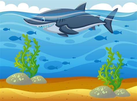 Wild shark swimming under the ocean 369593 Vector Art at Vecteezy