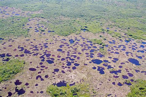 Climate Change Alters What's Possible in Restoring Florida's Everglades ...