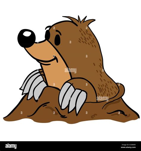 mole cartoon illustration Stock Vector Image & Art - Alamy