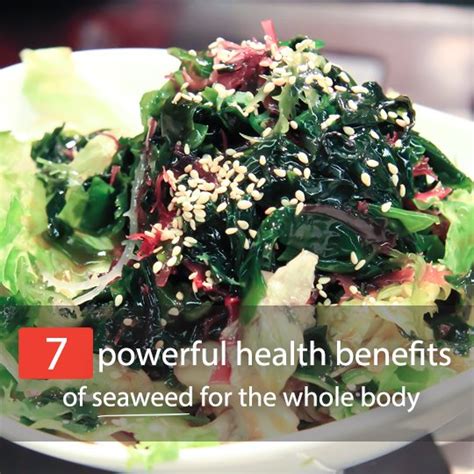 Does Seaweed Have Health Benefits