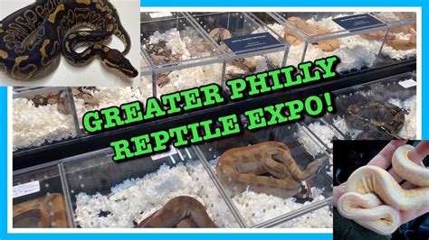 GREATER PHILADELPHIA REPTILE EXPO (Feb 2021) NEW PICKUPS!! | Reptiles ...