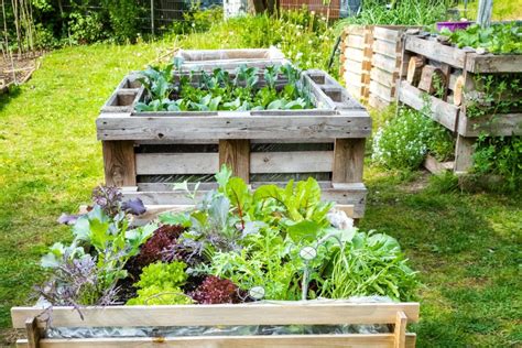 Pallet Raised Garden Bed - Build it Yourself! - MyGardenLife