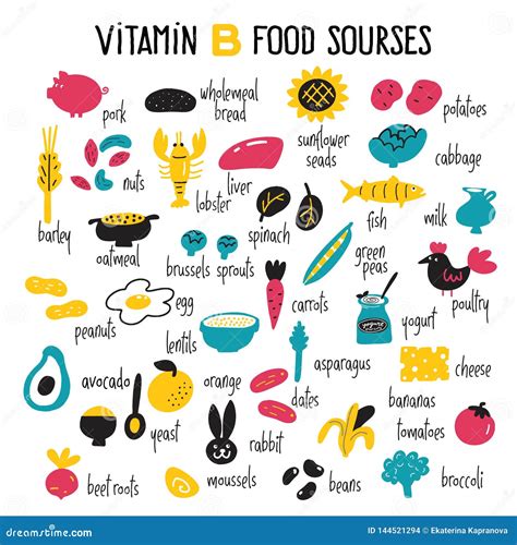 Vitamin B Complex Food Sources. Vector Cartoon Illustration. Stock ...