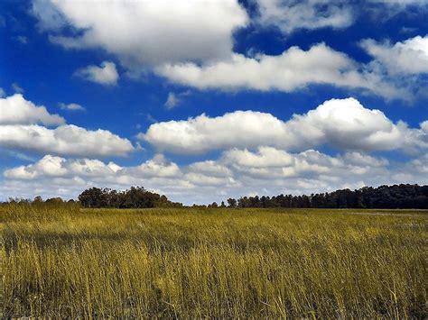 File:Cumulus-Clouds.jpg - Wakapon