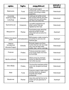 Autotrophs vs Heterotrophs by Science Works by Shannon | TpT