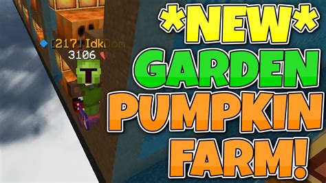 *NEW* Best Pumpkin Farm Design! | Hypixel Skyblock - YouTube